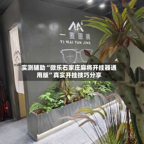 实测辅助“微乐石家庄麻将开挂器通用版”真实开挂技巧分享