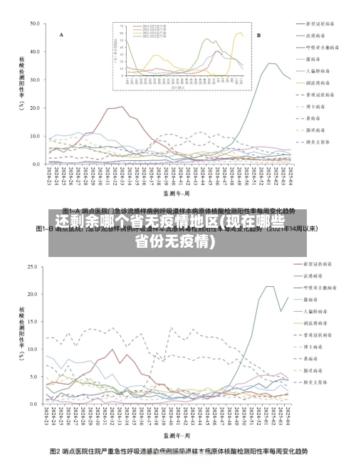 还剩余哪个省无疫情地区(现在哪些省份无疫情)-第2张图片