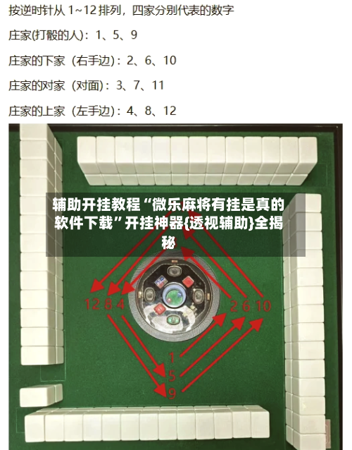 辅助开挂教程“微乐麻将有挂是真的软件下载	”开挂神器{透视辅助}全揭秘-第3张图片