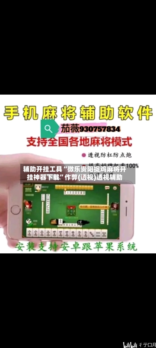 辅助开挂工具“微乐贵阳捉鸡麻将开挂神器下载”作弊(透视)透视辅助