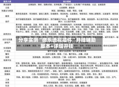 分享实测“微乐透视插件”开挂辅助脚本+详细开挂