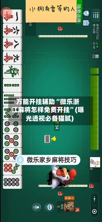 万能开挂辅助“微乐浙江麻将怎样免费开挂”(曝光透视必备猫腻)-第2张图片