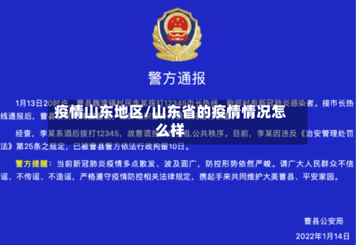 疫情山东地区/山东省的疫情情况怎么样