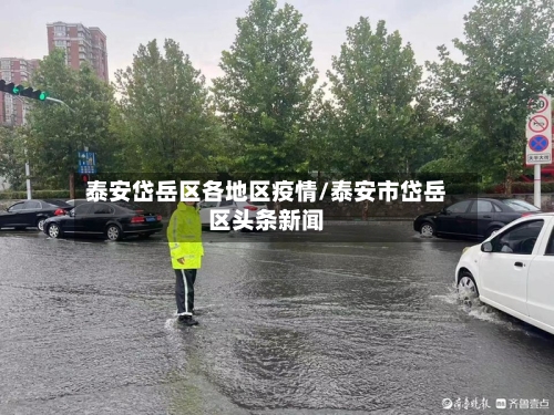 泰安岱岳区各地区疫情/泰安市岱岳区头条新闻-第3张图片