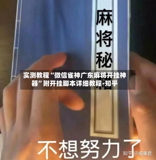 实测教程“微信雀神广东麻将开挂神器	”附开挂脚本详细教程-知乎-第2张图片