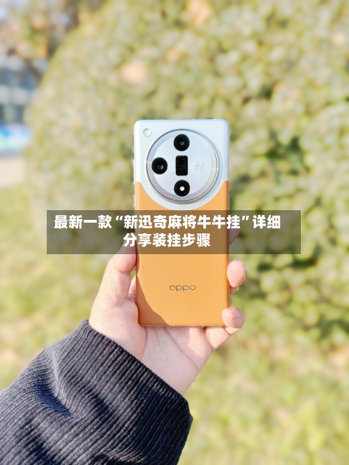 最新一款“新迅奇麻将牛牛挂	”详细分享装挂步骤-第2张图片