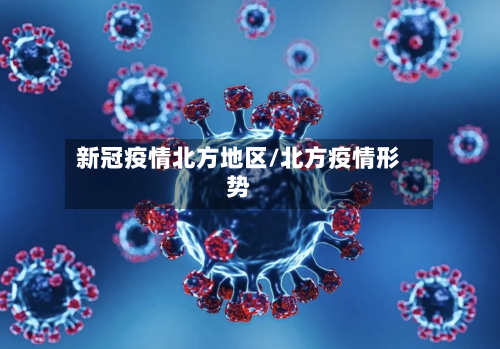新冠疫情北方地区/北方疫情形势-第3张图片