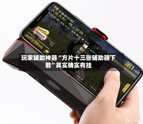 玩家辅助神器“方片十三张辅助器下载”其实确实有挂