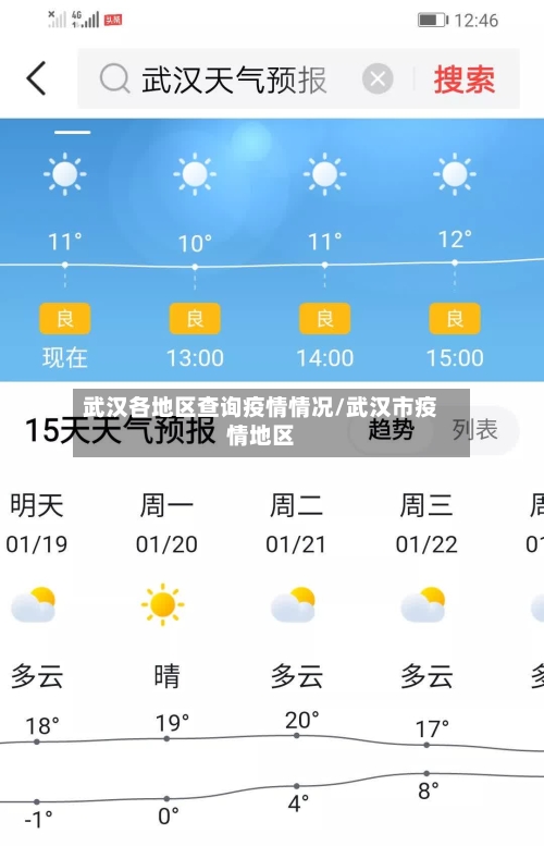 武汉各地区查询疫情情况/武汉市疫情地区