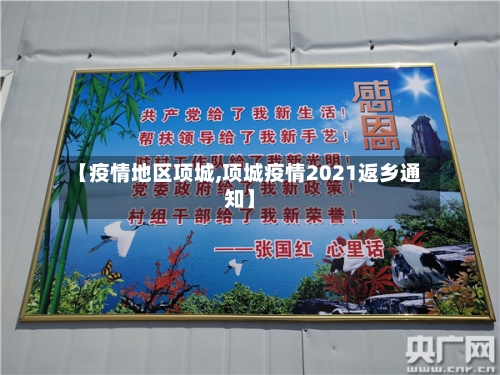 【疫情地区项城,项城疫情2021返乡通知】