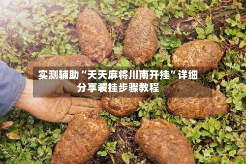 实测辅助“天天麻将川南开挂”详细分享装挂步骤教程-第2张图片