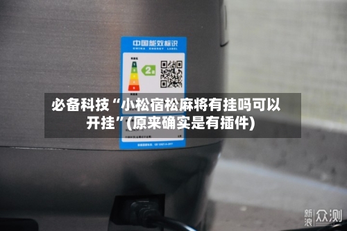 必备科技“小松宿松麻将有挂吗可以开挂	”(原来确实是有插件)-第3张图片