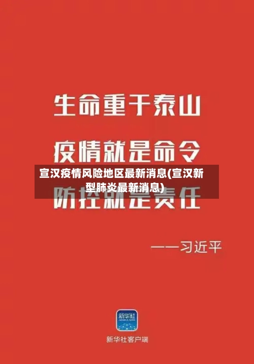 宣汉疫情风险地区最新消息(宣汉新型肺炎最新消息)-第2张图片