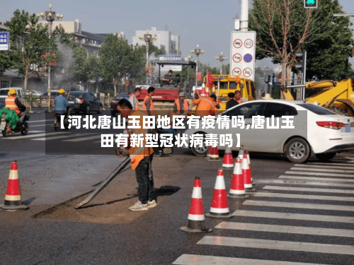 【河北唐山玉田地区有疫情吗,唐山玉田有新型冠状病毒吗】