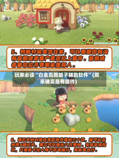 玩家必读“白金岛跑胡子辅助软件	”(原来确实是有插件)-第2张图片