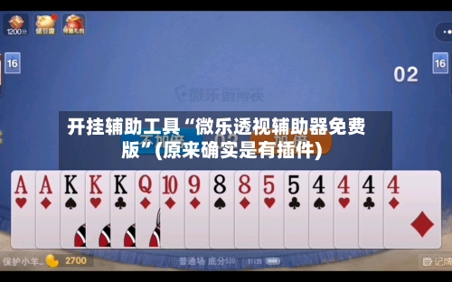 开挂辅助工具“微乐透视辅助器免费版”(原来确实是有插件)