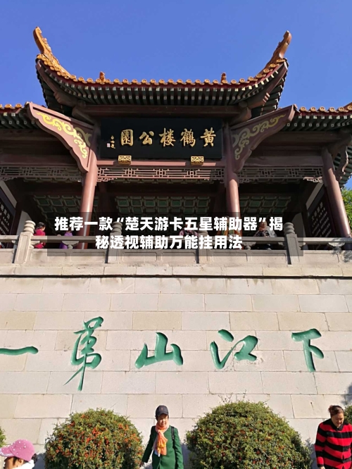 推荐一款“楚天游卡五星辅助器”揭秘透视辅助万能挂用法-第2张图片