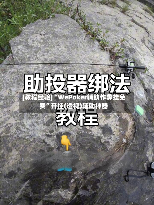 [教程经验]“WePoker辅助作弊挂免费”开挂(透视)辅助神器