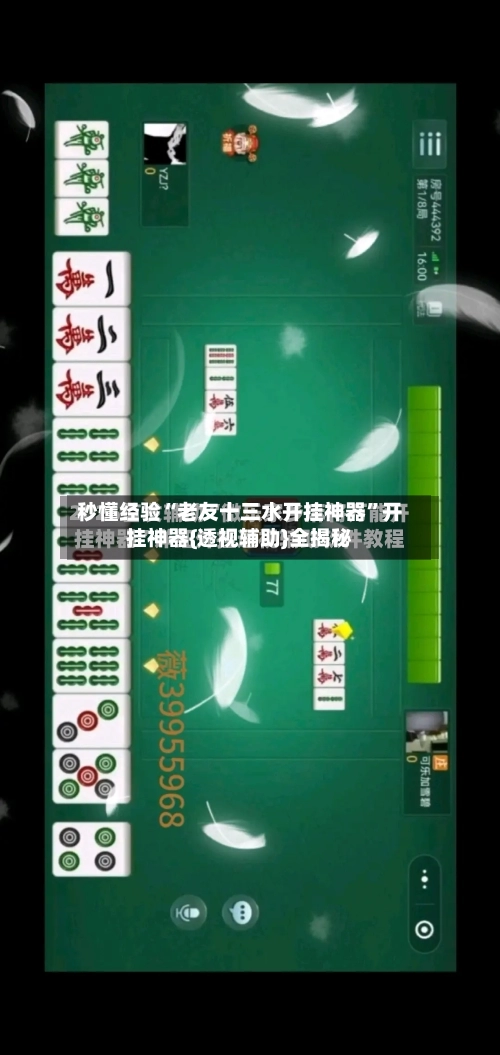 秒懂经验“老友十三水开挂神器”开挂神器{透视辅助}全揭秘-第2张图片