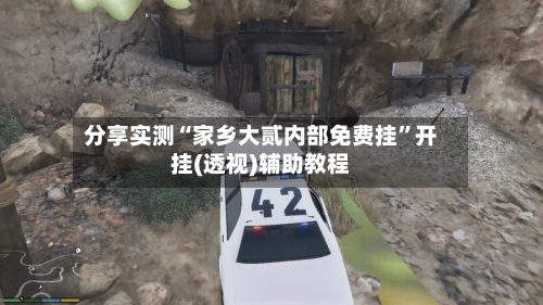 分享实测“家乡大贰内部免费挂”开挂(透视)辅助教程