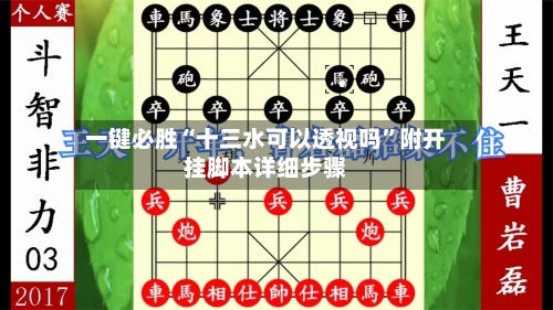 一键必胜“十三水可以透视吗”附开挂脚本详细步骤