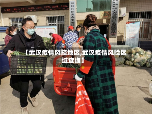 【武汉疫情风控地区,武汉疫情风险区域查询】-第2张图片