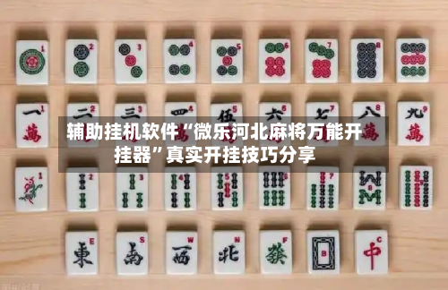 辅助挂机软件“微乐河北麻将万能开挂器	”真实开挂技巧分享-第2张图片