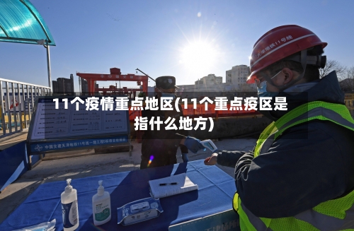 11个疫情重点地区(11个重点疫区是指什么地方)-第3张图片