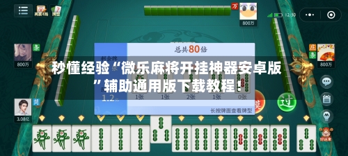 秒懂经验“微乐麻将开挂神器安卓版”辅助通用版下载教程！-第3张图片