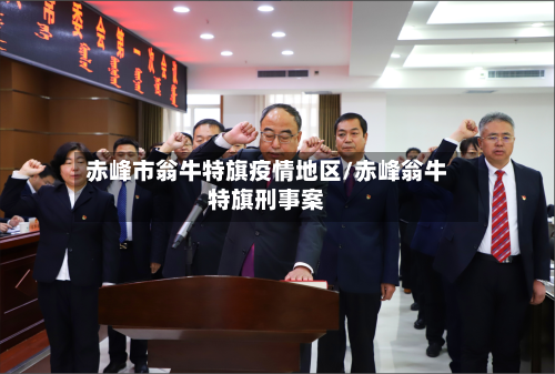 赤峰市翁牛特旗疫情地区/赤峰翁牛特旗刑事案-第3张图片