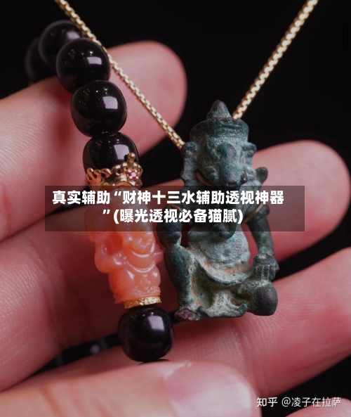 真实辅助“财神十三水辅助透视神器	”(曝光透视必备猫腻)-第2张图片