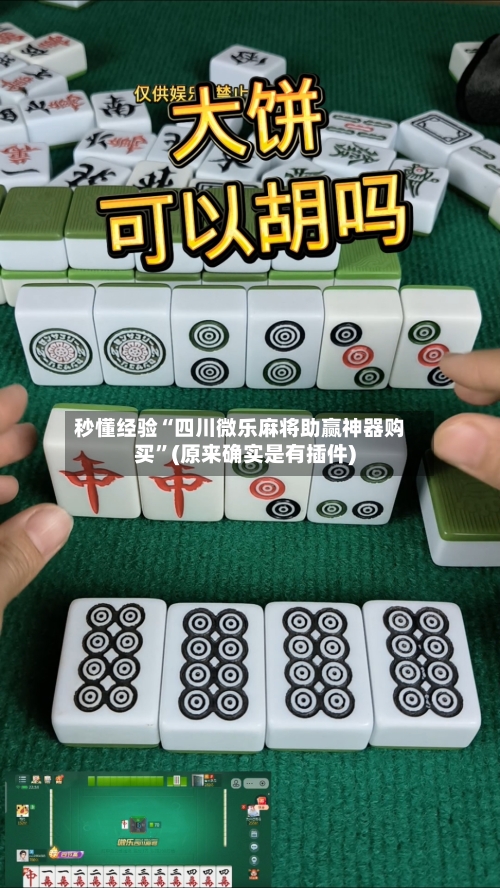 秒懂经验“四川微乐麻将助赢神器购买”(原来确实是有插件)-第3张图片