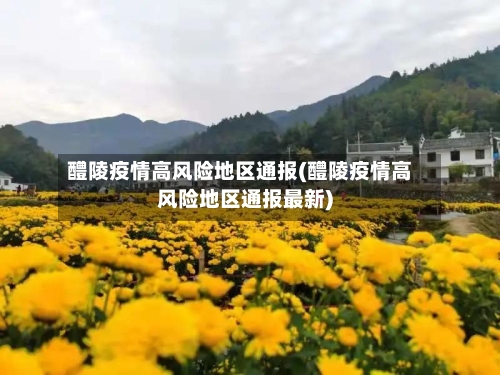 醴陵疫情高风险地区通报(醴陵疫情高风险地区通报最新)-第2张图片
