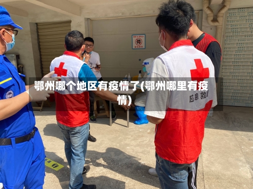 鄂州哪个地区有疫情了(鄂州哪里有疫情)-第2张图片