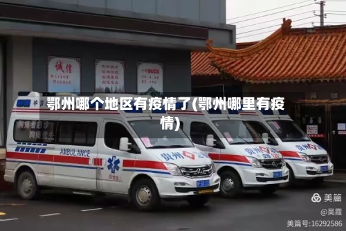 鄂州哪个地区有疫情了(鄂州哪里有疫情)