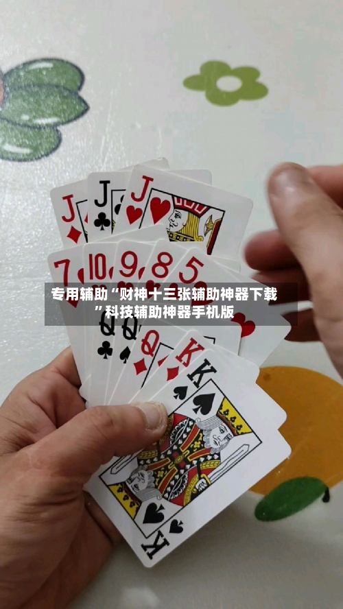 专用辅助“财神十三张辅助神器下载”科技辅助神器手机版-第3张图片