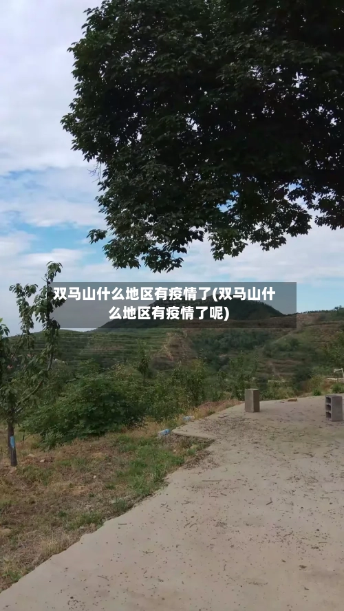 双马山什么地区有疫情了(双马山什么地区有疫情了呢)