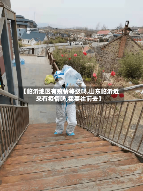 【临沂地区有疫情等级吗,山东临沂近来有疫情吗,我要往前去】-第2张图片