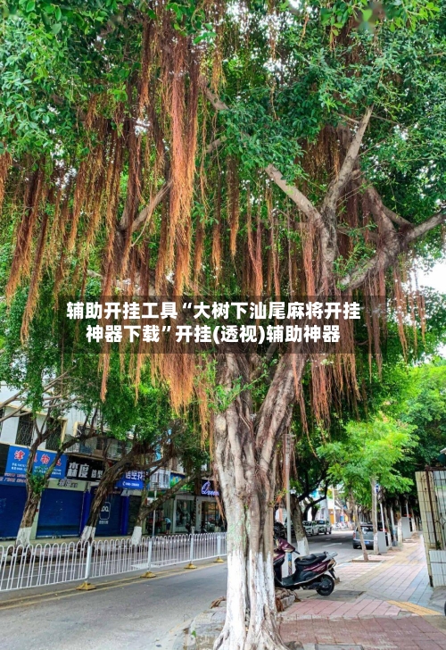 辅助开挂工具“大树下汕尾麻将开挂神器下载”开挂(透视)辅助神器