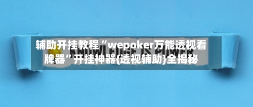 辅助开挂教程“wepoker万能透视看牌器”开挂神器{透视辅助}全揭秘-第2张图片
