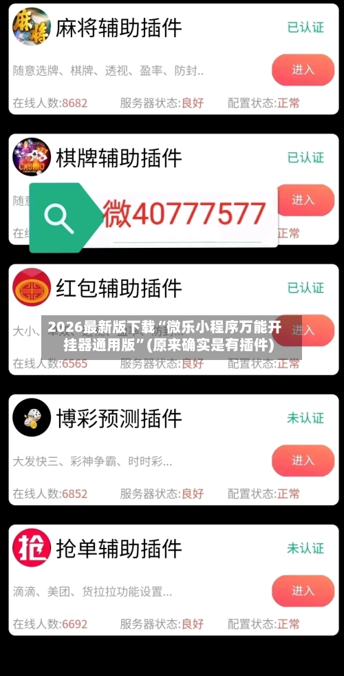 2026最新版下载“微乐小程序万能开挂器通用版”(原来确实是有插件)-第2张图片