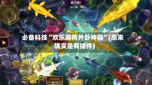 必备科技“欢乐麻将外卦神器”(原来确实是有插件)-第3张图片