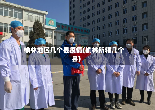 榆林地区几个县疫情(榆林所辖几个县)