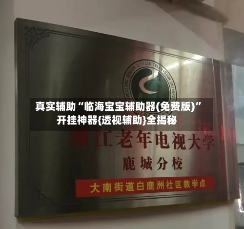 真实辅助“临海宝宝辅助器(免费版)”开挂神器{透视辅助}全揭秘-第2张图片