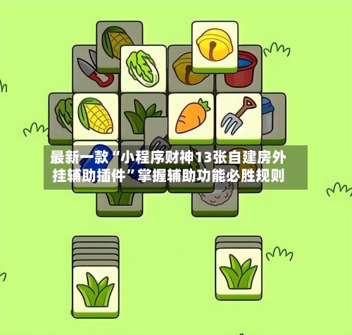 最新一款“小程序财神13张自建房外挂辅助插件”掌握辅助功能必胜规则-第2张图片