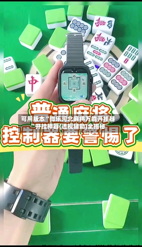 可用版本“微乐河北麻将万能开挂器”开挂神器{透视辅助}全揭秘-第2张图片