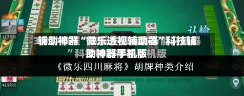 辅助神器“微乐透视辅助器	”科技辅助神器手机版-第2张图片