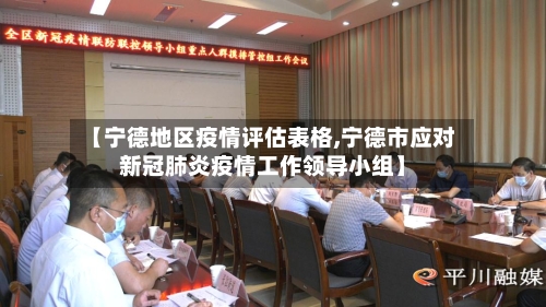 【宁德地区疫情评估表格,宁德市应对新冠肺炎疫情工作领导小组】