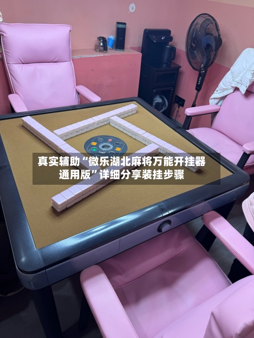 真实辅助“微乐湖北麻将万能开挂器通用版”详细分享装挂步骤