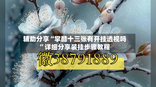 辅助分享“掌酷十三张有开挂透视吗”详细分享装挂步骤教程-第2张图片